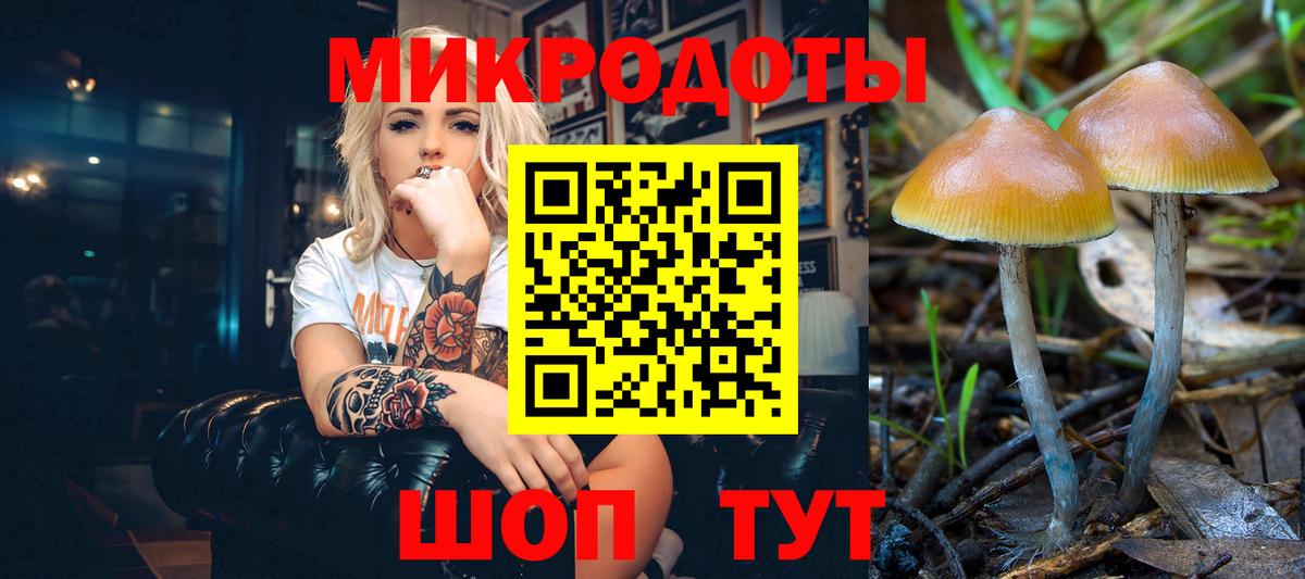 Псилоцибиновые грибы Psilocybine cubensis  Галлюциногенные грибы Cubensis  Грязи  как найти наркотики  Вход с VPN 