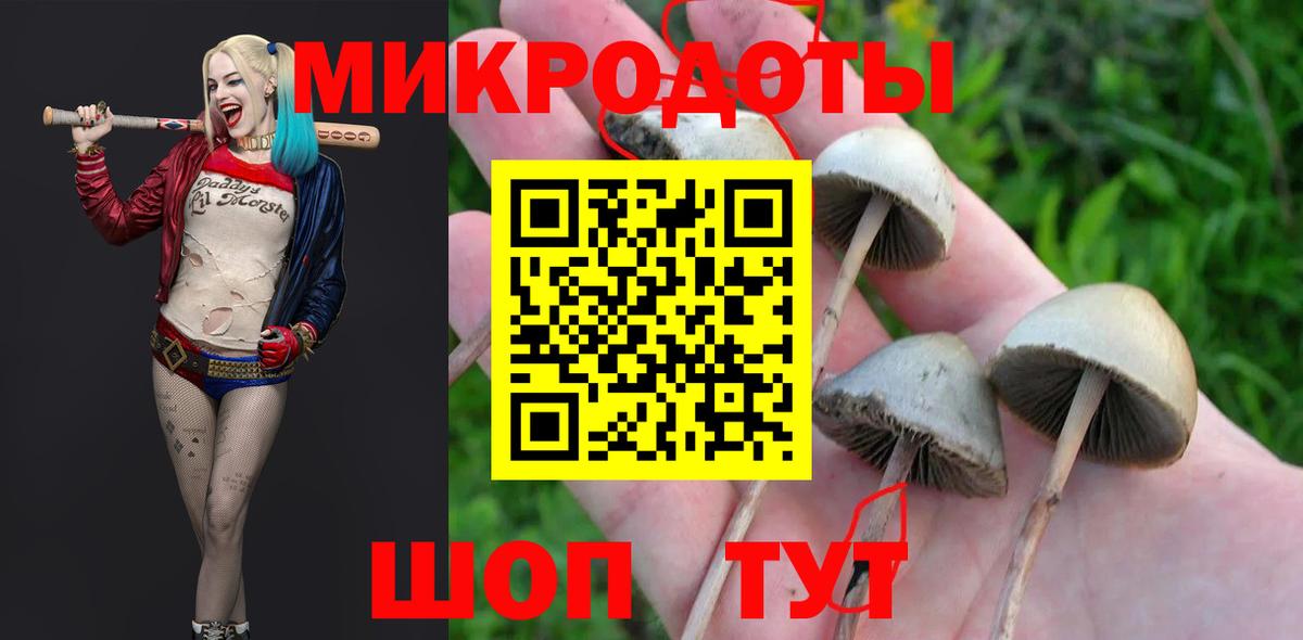 Псилоцибиновые грибы GOLDEN TEACHER Грязи